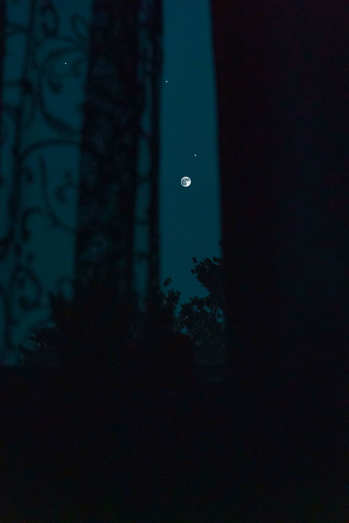 Fotografia della Luna nel cielo notturno